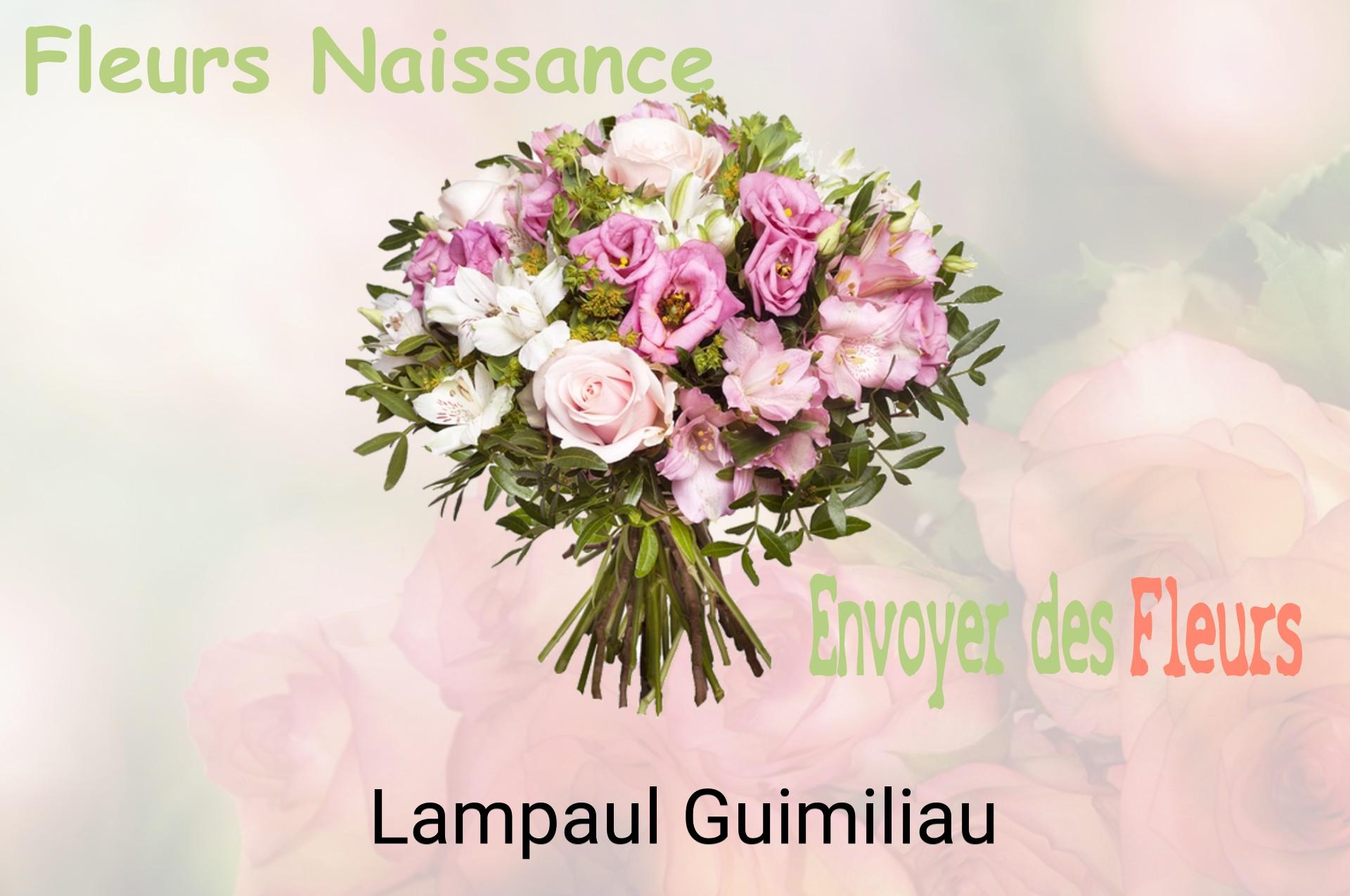 Bouquet de fleurs de naissance livré à Lampaul-Guimiliau